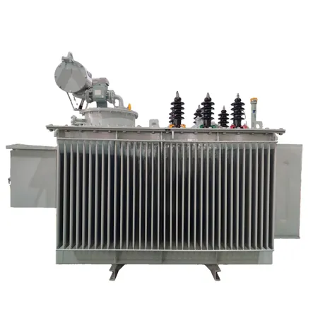 10kV SVR Series Line Automatic Voltage Regulator
