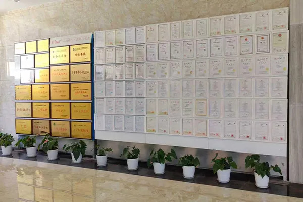 How many IEC series standards are there in total?