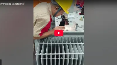 Filling The Oil Immersed Transformer